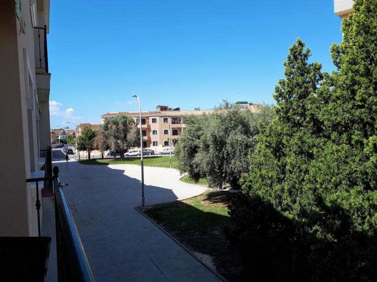 Apartment Sheron's *